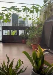 Sunrise Avenue (D28), Terrace #498232041